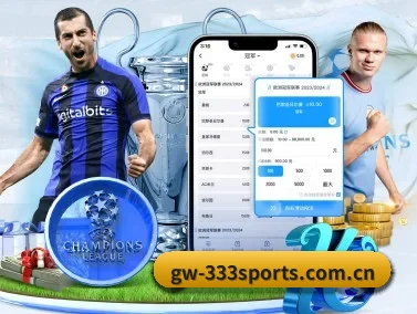 333体育官网 APP - 333SPORTS